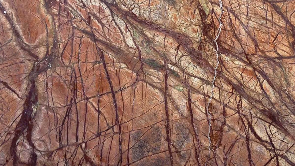 Rain Forest Brown Marble