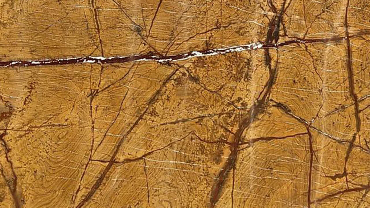 Rain Forest Gold Marble